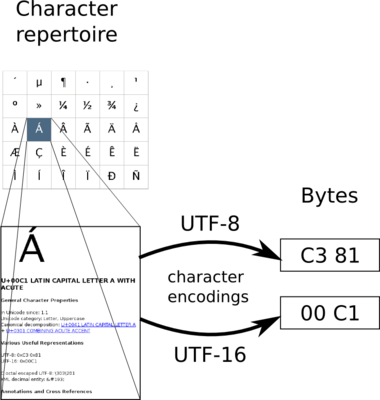 Character encodings map from a character repertoire to byte sequences